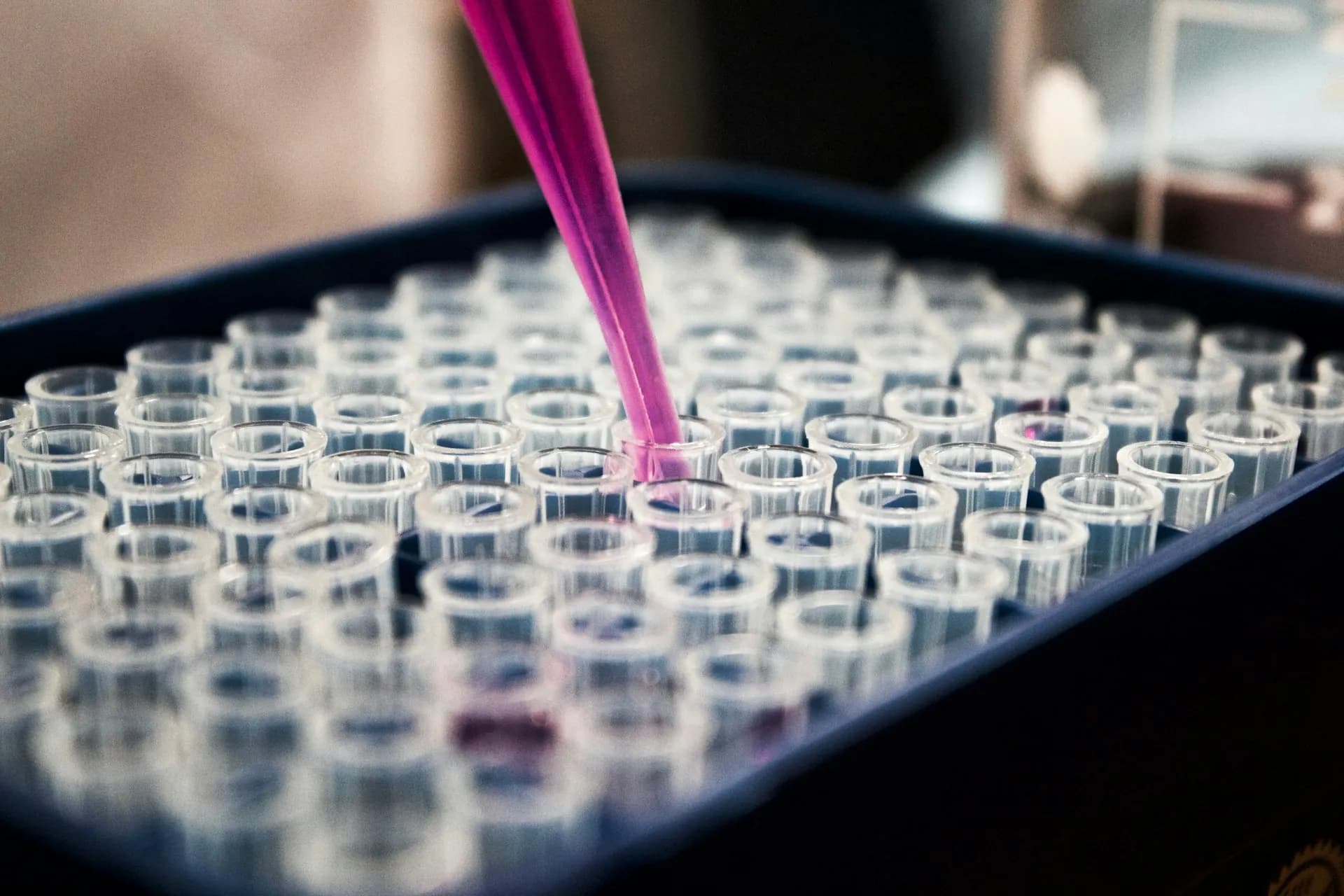 Forensic Intelligence & Examination Services